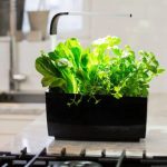 PAMETNI CVETLIČNI LONEC TREGREN T6 ČRN KUHINJSKI VRTIČEK - slika 4