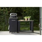 PEČ ZA PICO COZZE VRTLJIVA PLINSKA 13" (90440) PREMIUM - slika 20