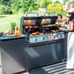 PLINSKI ŽAR HUDSON 4B ZA ZUNANJE KUHINJE EUROPA - slika 20