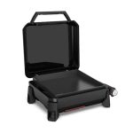 PLINSKI ŽAR WEBER SLATE GP 43 CM - slika 10