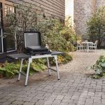 PLINSKI ŽAR WEBER SLATE GP 43 CM - slika 14