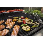 PLINSKI ŽAR WEBER SPIRIT E-335 - slika 14