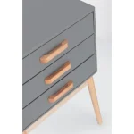 Predalnik 3C ORDINARY siva . Predalnik ORDINARY 3C siva je eleganten kos pohištva, ki popestri vašo prostor. Noge so narejene iz borovega lesa z MDF