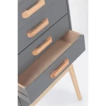 Predalnik 5C ORDINARY siva . Predalnik ORDINARY 5C siva, je eleganten kos pohištva, ki popestri vaš prostor. Noge so narejene iz borovega lesa z MDF