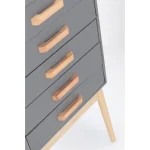 Predalnik 5C ORDINARY siva . Predalnik ORDINARY 5C siva, je eleganten kos pohištva, ki popestri vaš prostor. Noge so narejene iz borovega lesa z MDF