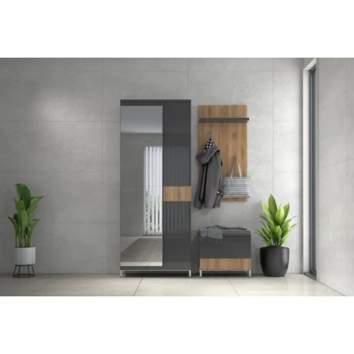 Predsoba ELAN Predsoba ELAN . Predsoba ELAN je oblikovana po najsodobnejših smernicah. Je skandinavskega videza in ima veliko prostora za shranjevanje. Komplet sestavljajo: