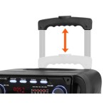 PRENOSNI KARAOKE ZVOČNIK MANTA SPK5021 PRO FONOS ČRN - slika 7