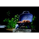 PRENOSNI PLINSKI ŽAR NAPOLEON TQ285-BK - slika 9