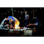 PRENOSNI PLINSKI ŽAR NAPOLEON TQ285-BK - slika 10