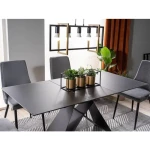 Raztegljiva jedilna miza TINE 1 . Raztegljiva jedilna miza TINE 1, je moderna in elegantna. Dobavljiva v črni mat barvi, se bo podala v vsak prostor. Mizna