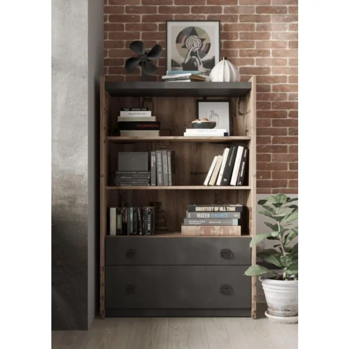 Regal FERGO . Regal FERGO je primeren za vsako dnevno sobo ili sobo za druženje. Ima eleganten izgled, ki dopolni vsak prostor. Ima dva predala ter 3 police.