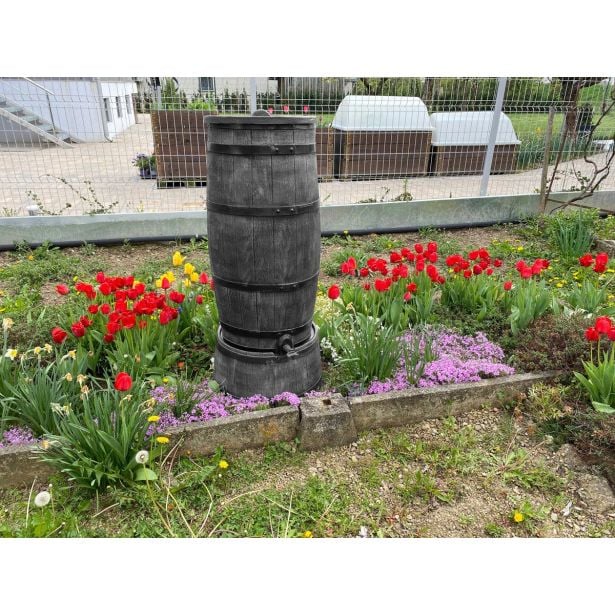 roto-sod-za-dezevnico-150-l-slim-3350545-12 ROTO SOD ZA DEŽEVNICO 150 L SLIM - slika 28