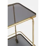 Servirni voziček ORABEL je eleganten kos za vse gostinske ali domače prostore. Njen poseben dizajn vas bo navdušil, saj prinese vašemu prostoru eleganco in