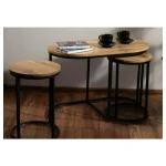 Set 3 klubskih mizic SIANA . Set 3 klubskih mizic SIANA, je eleganten kos pohištva. Vrh je narejen iz MDF-ja in furnirja. Ogrodje je narejeno iz kovine. Set