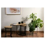 Set 3 klubskih mizic SIANA . Set 3 klubskih mizic SIANA, je eleganten kos pohištva. Vrh je narejen iz MDF-ja in furnirja. Ogrodje je narejeno iz kovine. Set