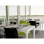 Stol OLGA grafit/črna . Stol OLGA v barvi grafit/črna je moderen stol izdelan iz polipropilena, kateremu so dodana steklena vlakna za še večjo trdnost.