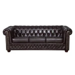 Trosed LORENA 3 . Osvežite svojo dnevno sobo z vzmetenim trosedom LORENA, ki je udoben in kvaliteten. Oblazinjen je v umetnem usnju. Lesene nogice pa mu