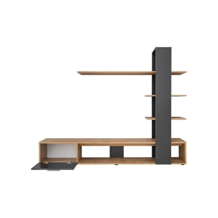 tv-regal-ceo-11 TV regal CEO - slika 12