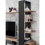 TV regal CEO - slika 13