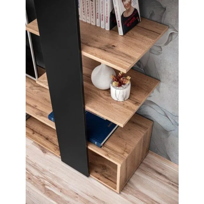 tv-regal-ceo-13 TV regal CEO - slika 14