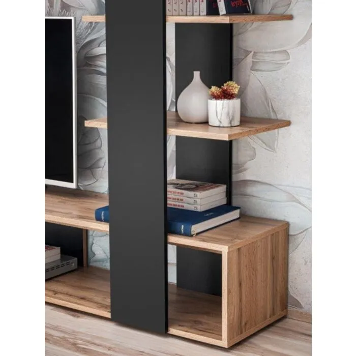 tv-regal-ceo-14 TV regal CEO - slika 15