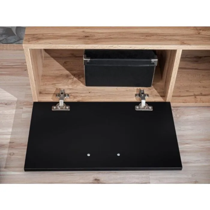 tv-regal-ceo-15 TV regal CEO - slika 16