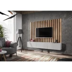 TV regal HOLI . TV regal HOLI je regal mimo katerega noben ljubitelj minimalističnega stila ne bo šel ravnodušno. Je kombinacija preproste in vizualno