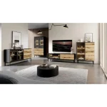 Tv regal LANASA, je eleganten kos pohištva, ki popestri vaš prostor s svojim luksuznim dizajnom. Narejen je iz kakovostnih materialov v črni barvi s