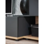 TV regal SALY . TV regal SALY ima modernost ter prostornost. Izjemen dizajn regala bo popoln za moderno ureditev. Odpira se brez ročajev ter zasteklitev je iz