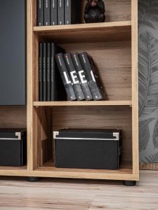 TV regal SALY . TV regal SALY ima modernost ter prostornost. Izjemen dizajn regala bo popoln za moderno ureditev. Odpira se brez ročajev ter zasteklitev je iz