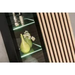 Visoka vitrina KAMERON je elegantna ter atraktivna. Moderen dizajn z dodatki, črnega stekla ter lamelami v svetlem hrastu, se bo podal v vsak prostor. Vitrina