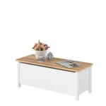 Zaboj MOLLY je večnamenski zaboj s pokrovom. Primeren je za vsak prostor v hiši ali stanovanju, saj v njega lahko spravimo vse. Lahko se ga uporablja tudi