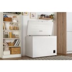 ZAMRZOVALNA SKRINJA GORENJE FH30EAW - slika 5