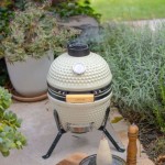 ŽAR NA OGLJE LIVOO DOC330 KAMADO - slika 2