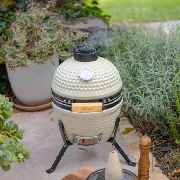 zar-na-oglje-livoo-doc330-kamado-3509945-1 ŽAR NA OGLJE LIVOO DOC330 KAMADO - slika 2