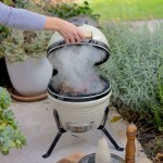 ŽAR NA OGLJE LIVOO DOC330 KAMADO - slika 4