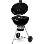 ŽAR NA OGLJE WEBER MASTERTOUCH PREMIUM SE-5775 - slika 9
