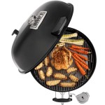 ŽAR NA OGLJE WEBER MASTERTOUCH PREMIUM SE-5775 - slika 11