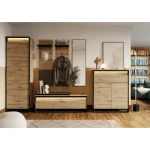 Omara KVIN 1 je večnamenski kos pohištva. Odlično se bo podala v predprostor, prav tako pa jo lahko uporabljate, kot manjšo garderobno omaro. Omara KVIN 1