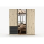 Garderobna omara LANZAROTE je moderen kos pohištva s klasičnim odpiranjem. Ima veliko ogledalo, v notranjosti na levi strani je opremljena s tremi