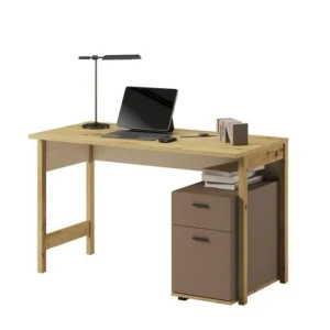 Pisalna miza LENI je funkcionalna in kakovostna. Je popolna rešitev, ki ne le izpolnjuje vseh potreb pri delu in učenju, temveč služi tudi kot eleganten