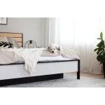 Postelja GRIZLI - slika 14