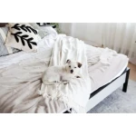 Postelja GRIZLI - slika 20