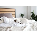 Postelja GRIZLI - slika 26