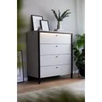 Predalnik GRIZLIN je dvostranski kos pohištva. Lahko jo uporabljate kot komodo ali pa kot predalnik, saj ima kar štiri predale. Zasnovana je kot dodatek za v