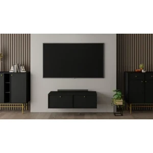 TV omarica TOKI je elegantna in kakovostna omarica, ki se prilega v vsako dnevno sobo. Dobavljiva je v treh barvnih kombinacijah: zelena s črnimi ročaji ter