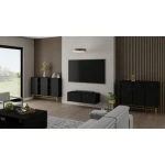 TV omarica TOKI je elegantna in kakovostna omarica, ki se prilega v vsako dnevno sobo. Dobavljiva je v treh barvnih kombinacijah: zelena s črnimi ročaji ter