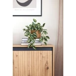 TV omarica TERA, v sodobnem izgledu in modernem dizajnu je odlična za shranjevanje vseh nepotrebnih stvari, ki se nabirajo v dnevni sobi. Ima LED osvetlitev,