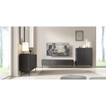 Visoka komoda MURI črna je zasnovana v preprostem, a elegantnem slogu. Klasična črna barva doda eleganco in modernost vsakemu prostoru. Ima črne kovinske