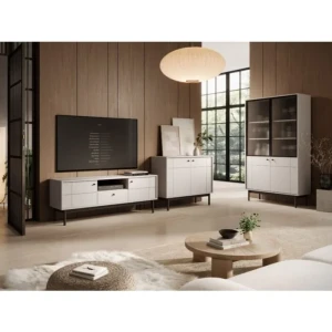 Dnevni regal JAPONI kašmir je elegantna in preprosta izbira za vaš dom. Sestavljen je iz kar treh velikih in prostornih kosov pohištva: TV omarica, komoda